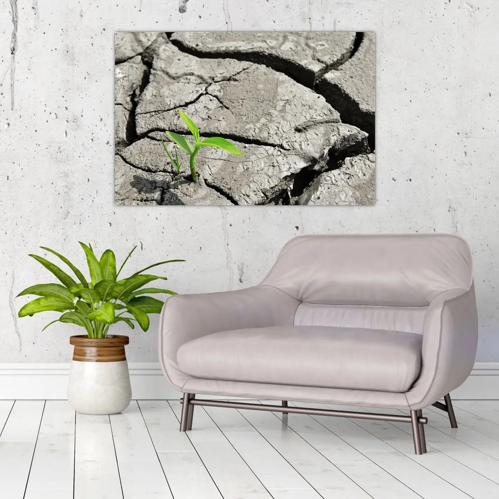 Tablou - Fisuri (90x60 cm)