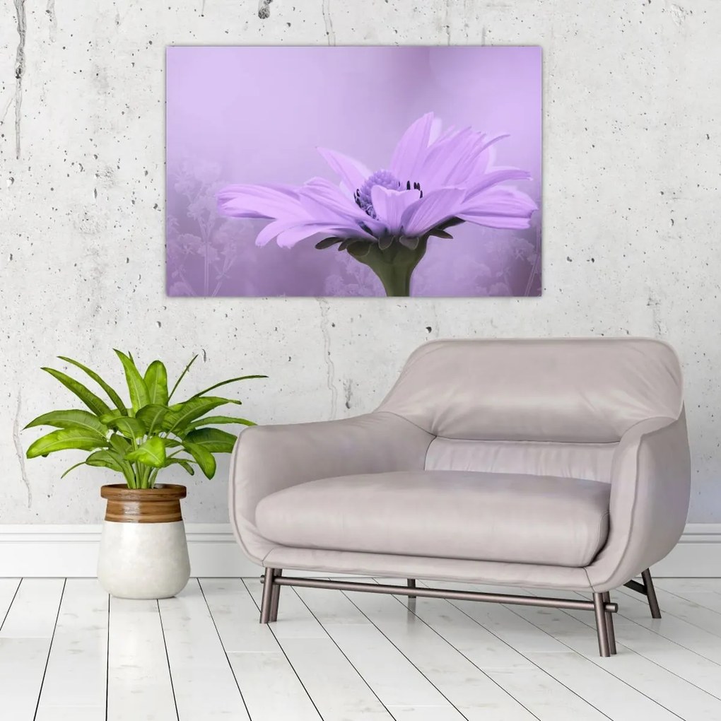 Tablou - Flori mov (90x60 cm)