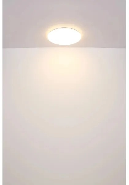 Plafonieră LED Globo 41261-24 ECLYPSE LED/24W/230V