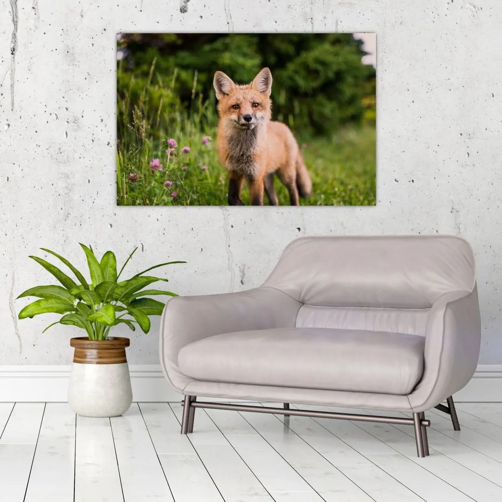 Tablou cu vulpe (90x60 cm)