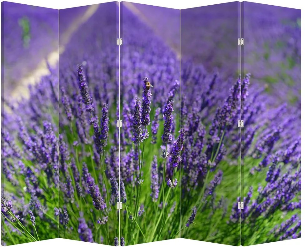Paravan - Lavanda (210x170 cm)