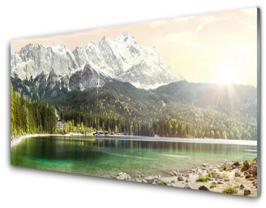 Tablou pe sticla acrilica Mountain Lake Forest Peisaj Alb Gri Verde