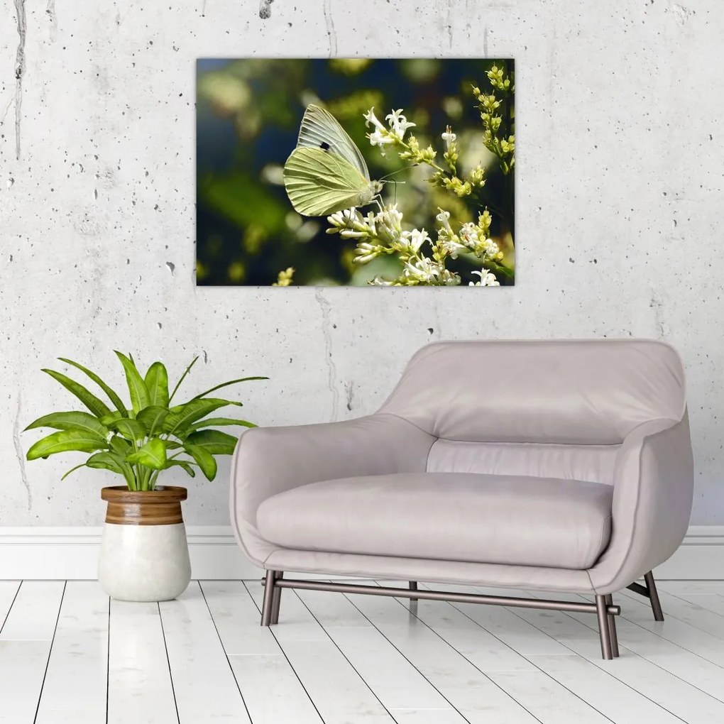 Tablou pe sticlă cu fluture (70x50 cm)