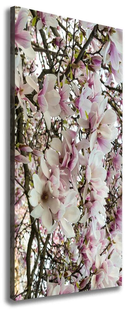 Print pe pânză Flori magnolia
