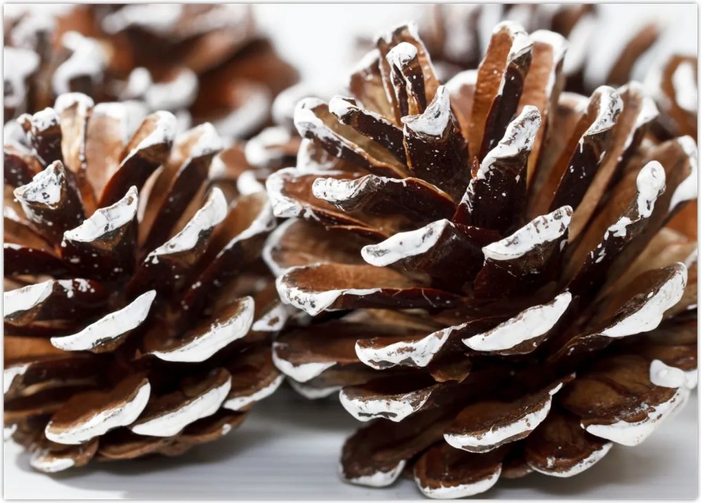 Tablou - Gogoși (70x50 cm)