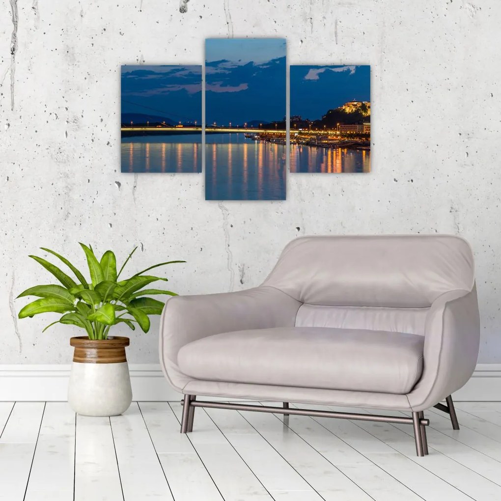 Tablou cu Bratislava și palat (90x60 cm)