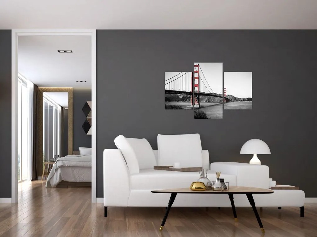 Tablou cu pod (90x60 cm)
