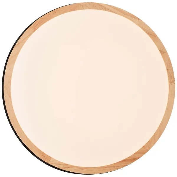 Plafonieră LED dimabilă Brilliant BAARLO LED/24W/230V d. 35 cm negru