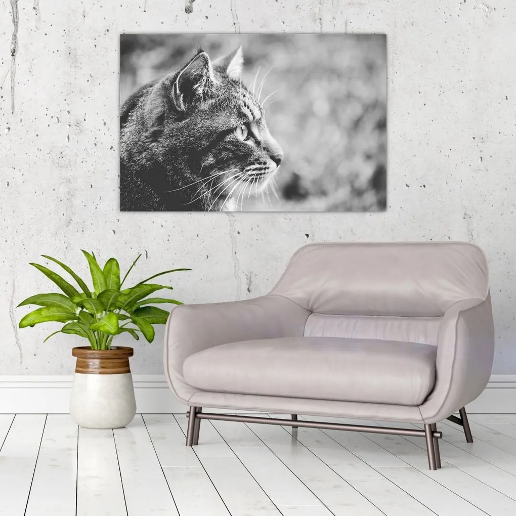 Tablou - Pisica (90x60 cm)