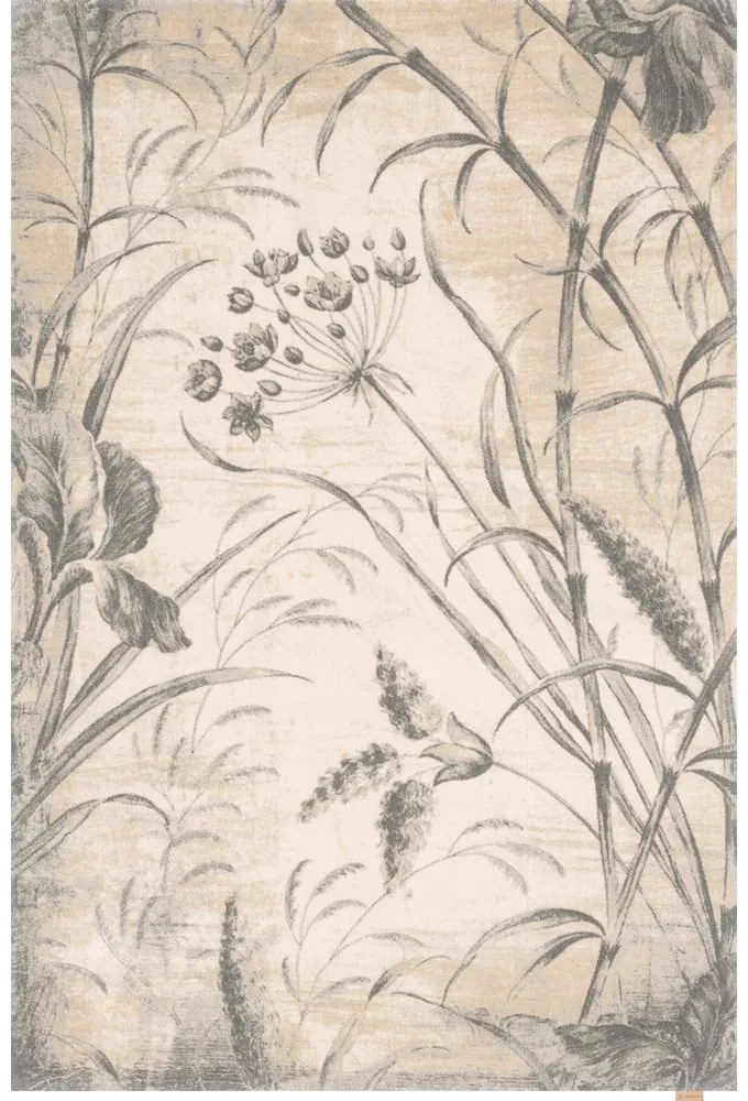 Covor crem din lână 300x400 cm Botany – Agnella