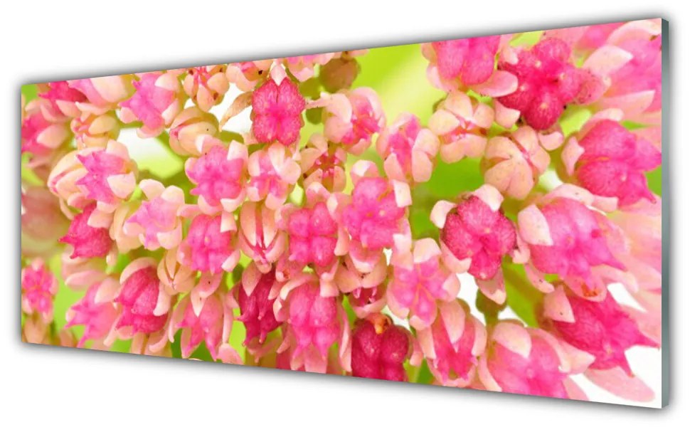Tablou pe sticla Floare roz Floral