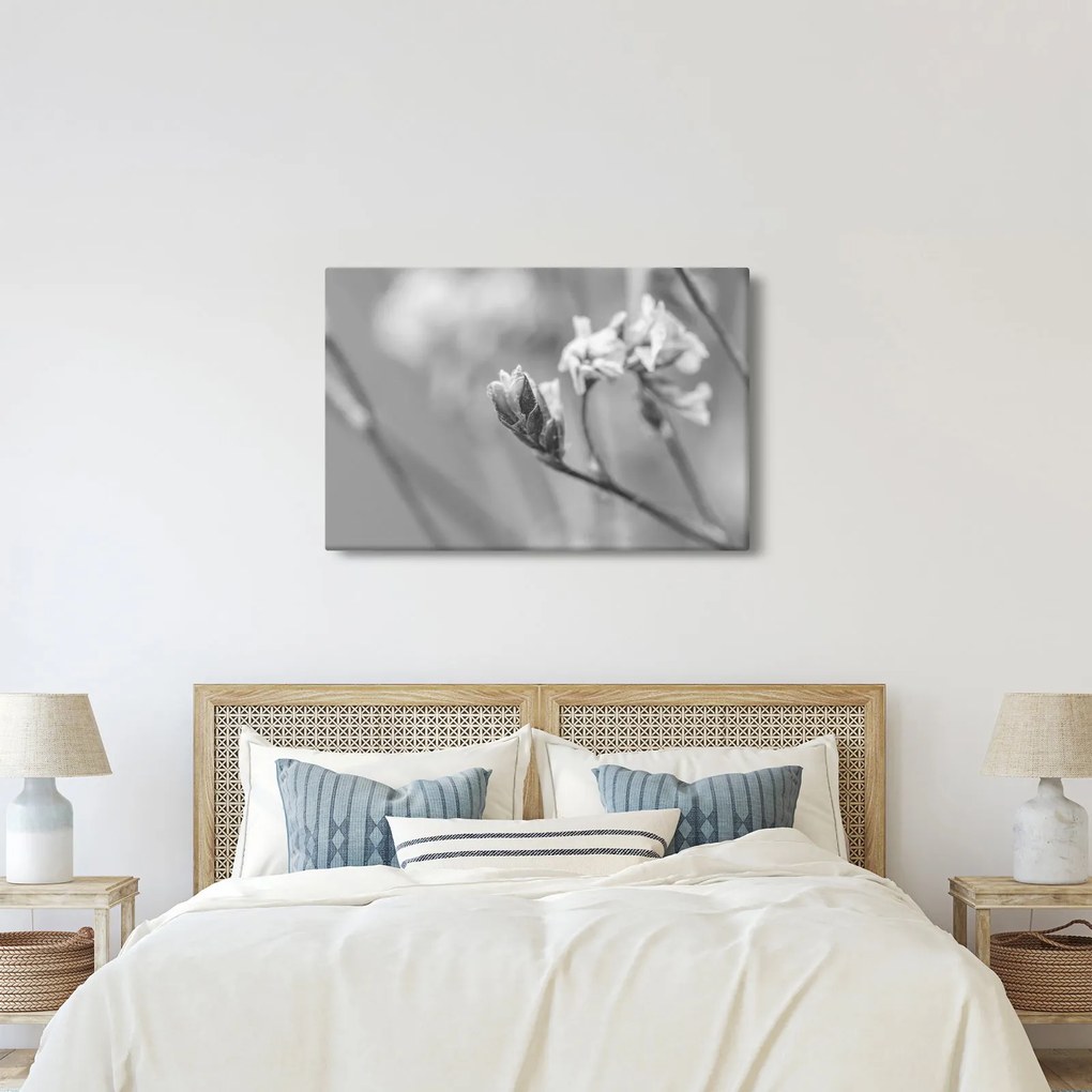 Tablou - Floare înflorită (90x60 cm)