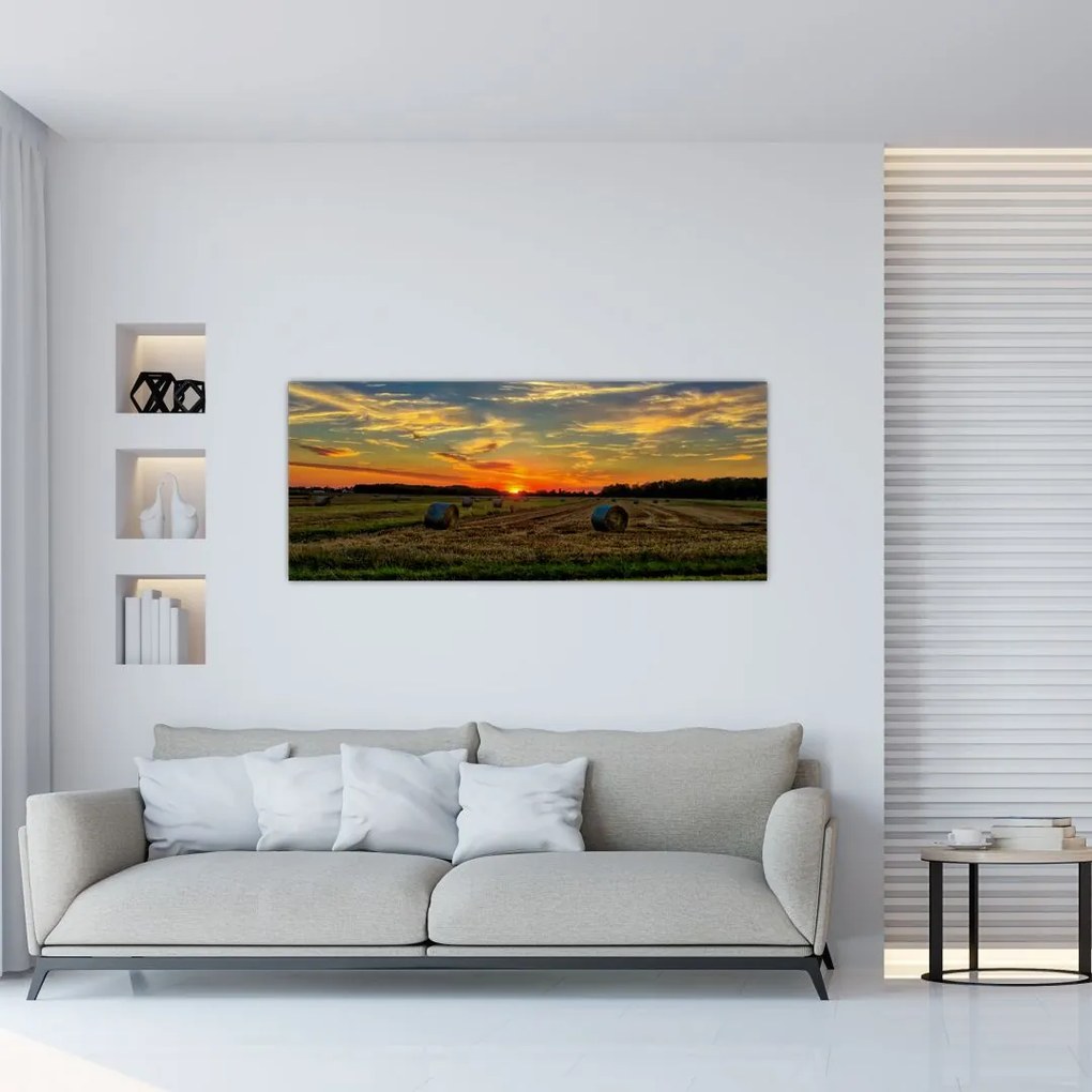 Tablou - Baloți din sat (120x50 cm)