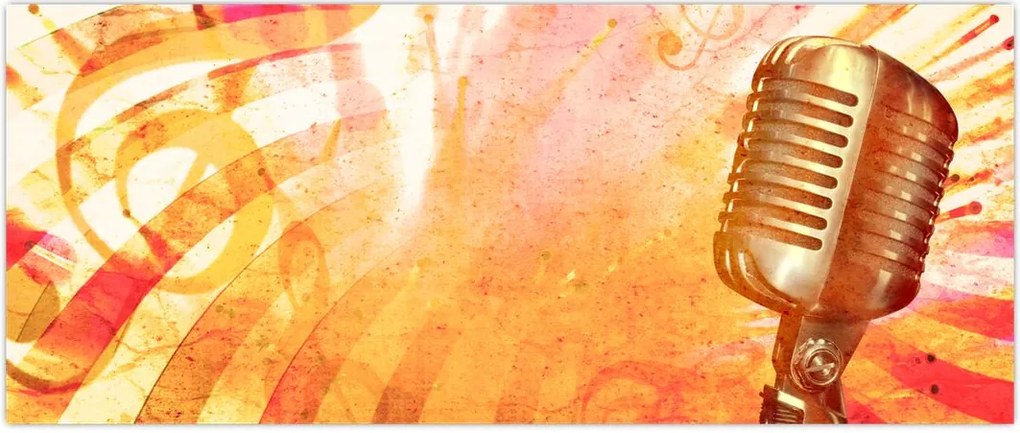 Tablou - Microfon retro (120x50 cm)