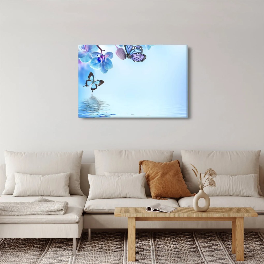 Tablou - Fluture pe flori de orhidee, albastru (90x60 cm)