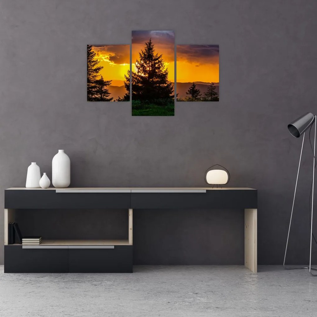 Tablou - coniferi (90x60 cm)