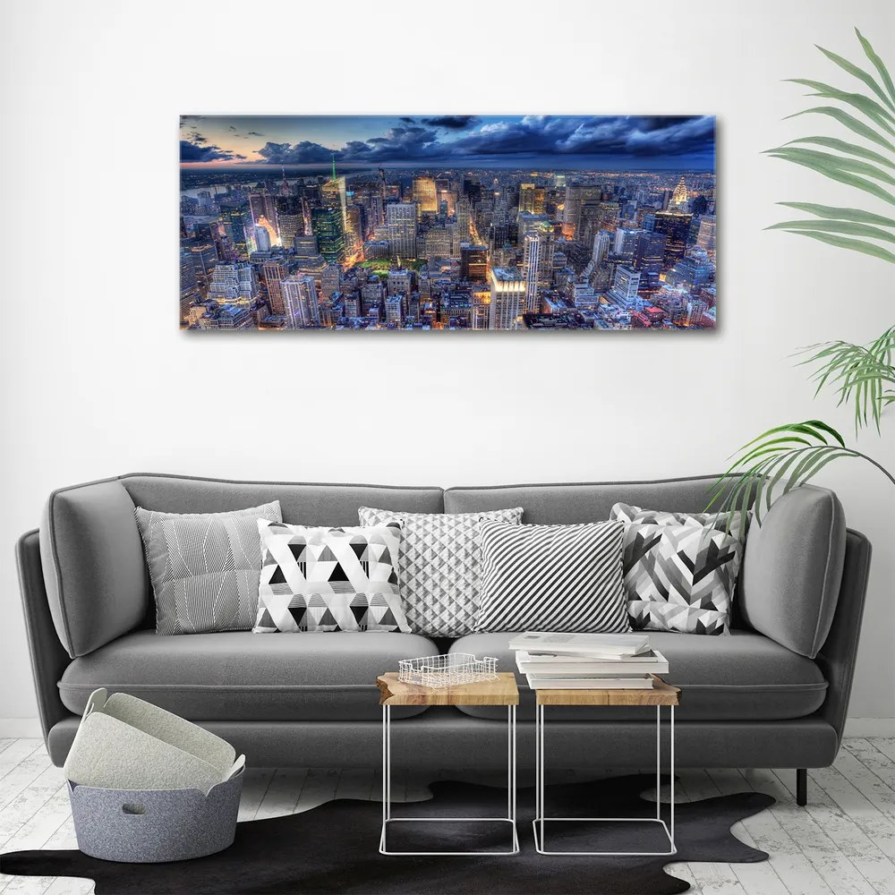 Imprimare tablou canvas New york pasăre de zbor