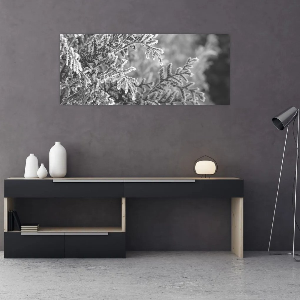 Tablou - Pădure de molid (120x50 cm)