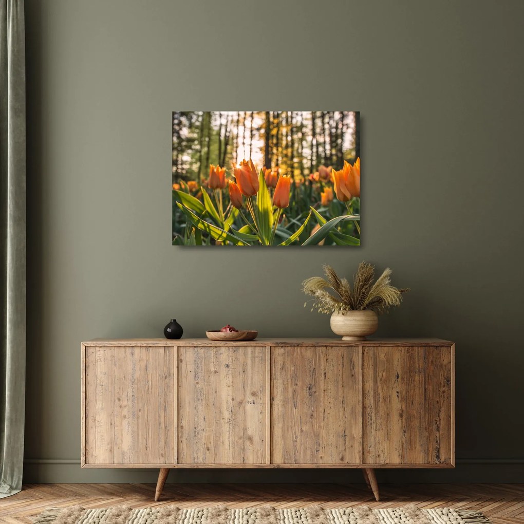 Tablou pe sticlă - florile lalelelor (70x50 cm)