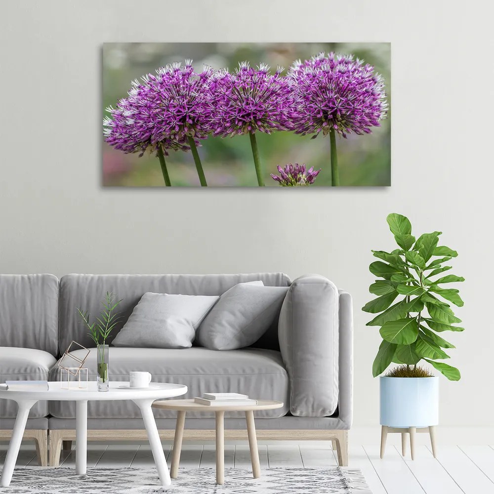 Tablou pe pânză Floare de usturoi