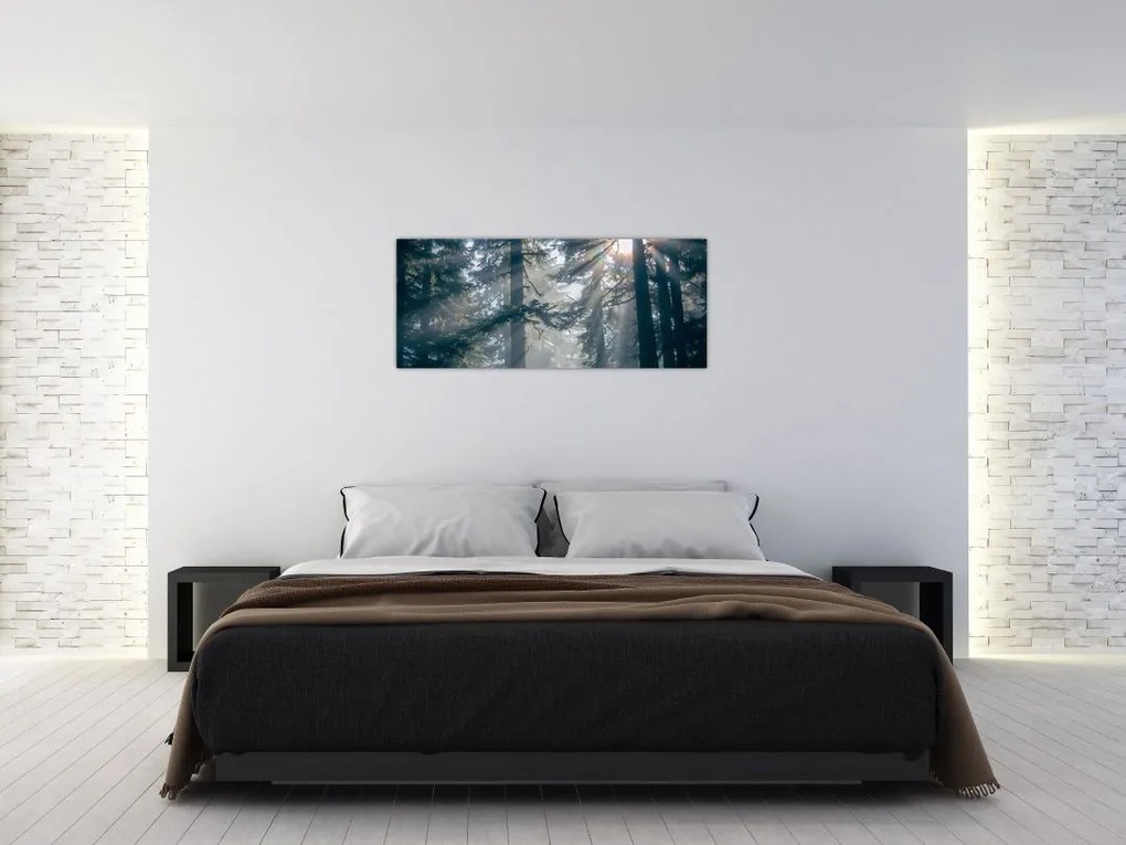 Tablou cu copaci și soarele translucind (120x50 cm)