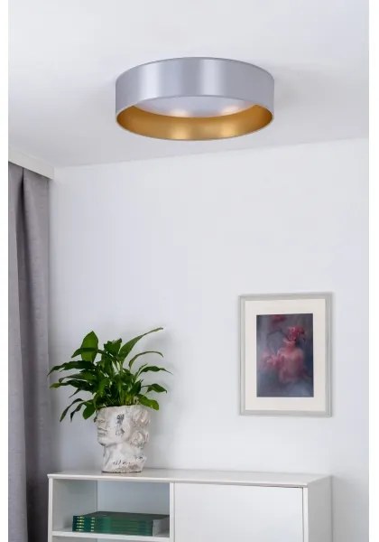 Plafonieră LED Duolla ROLLER LED/24W/230V d. 45 cm argintiu/auriu