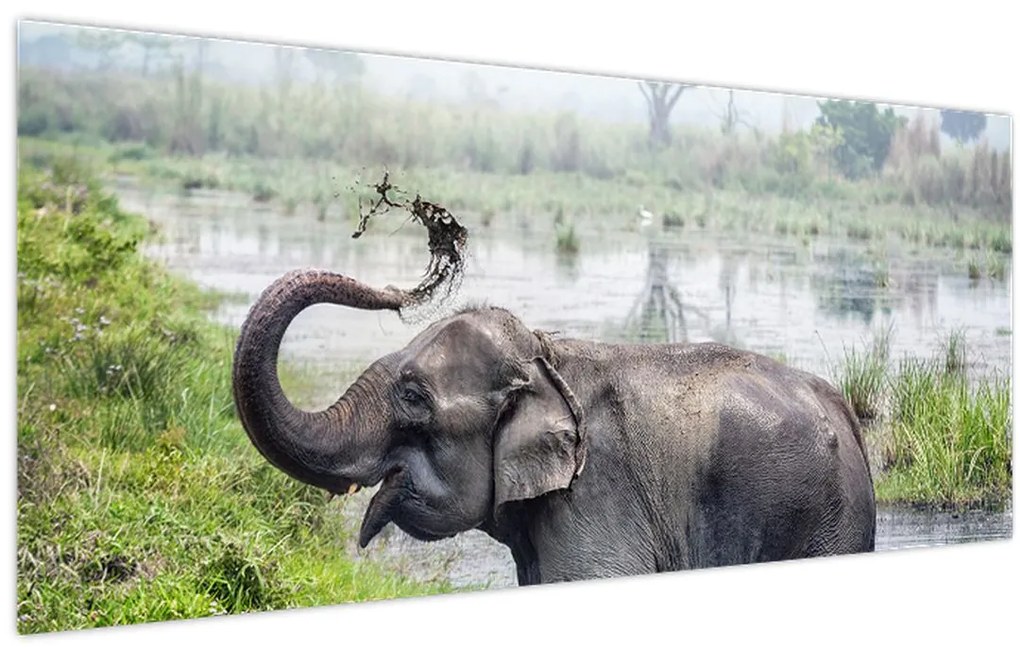 Tablou - Elefant de scăldat (120x50 cm)