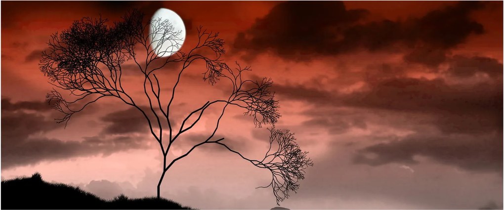 Tablou - Luna luminează noaptea (120x50 cm)