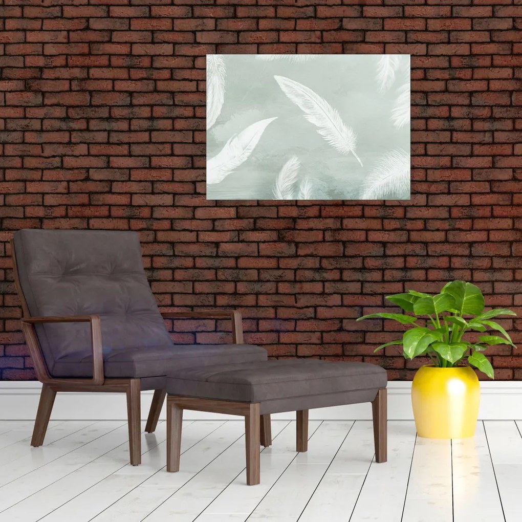 Tablou - Pene albe (70x50 cm)