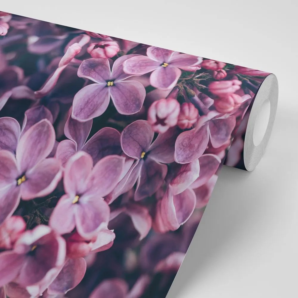 Fototapet flori violete de liliac