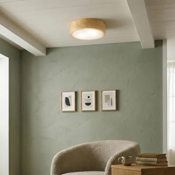 Plafonieră pentru baie NATURAL MODERN 2xE27/15W/230V, Ø 27,5 cm, pin