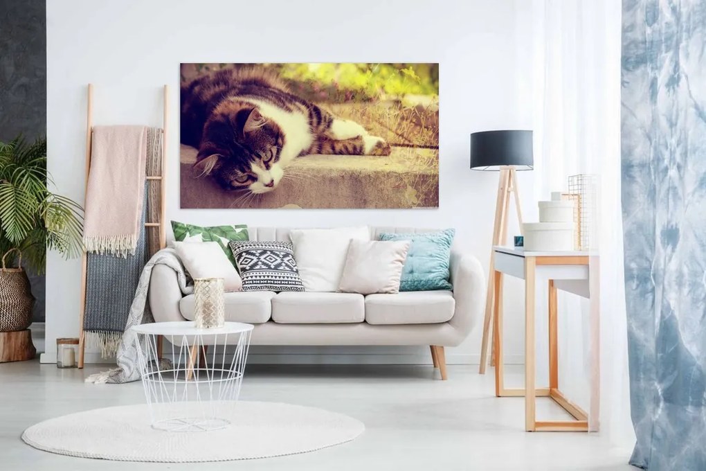 Tablou canvas o pisica splendida - 80x50cm