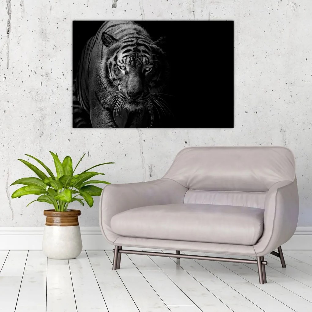 Tablou - Tigru sălbatic (90x60 cm)
