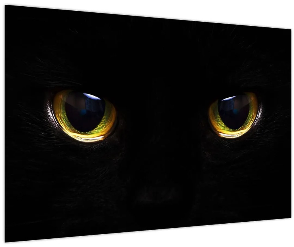 Tablou - Ochi de pisică (90x60 cm)