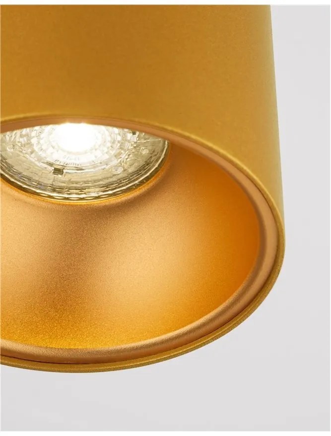 Spot aplicat tavan / plafon design modern minimalist NIDO auriu