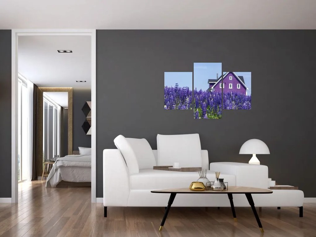 Tablou cu câmp de lavanda (90x60 cm)