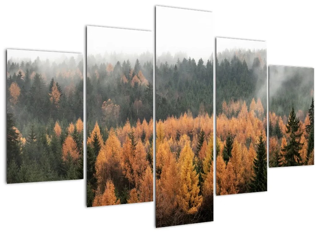 Tablou - Pădure toamna (150x105 cm)