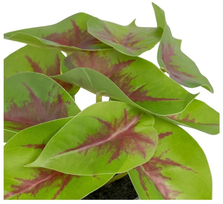 Plantă artificială (înălțime 20 cm) Syngonium – Ixia