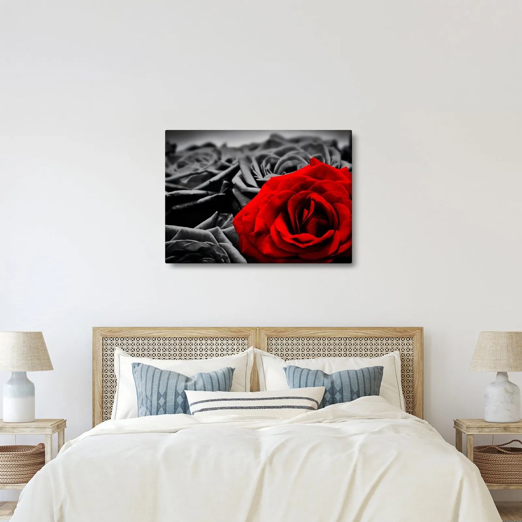 Tablou - Flori de trandafir (70x50 cm)