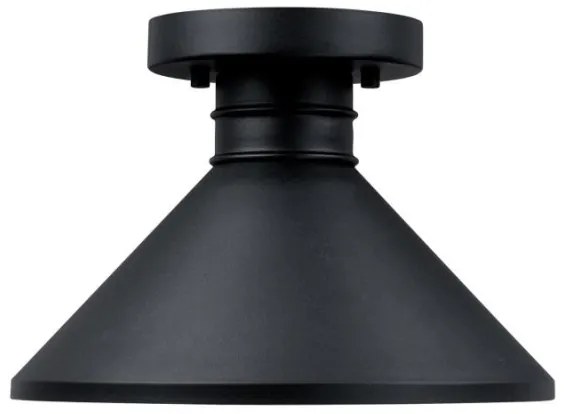 Plafonieră de exterior Westinghouse 61238 WALTER 1xE27/60W/230V IP44