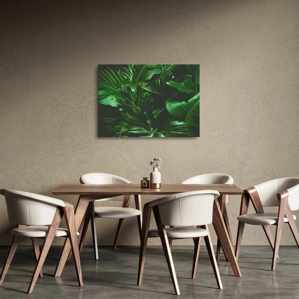 Tablou pe sticlă - Frunze de palmier (70x50 cm)