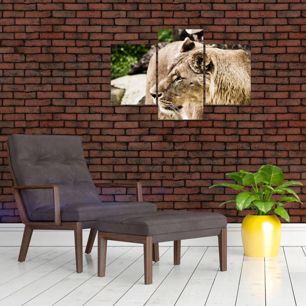 Tablou cu leoaică (90x60 cm)