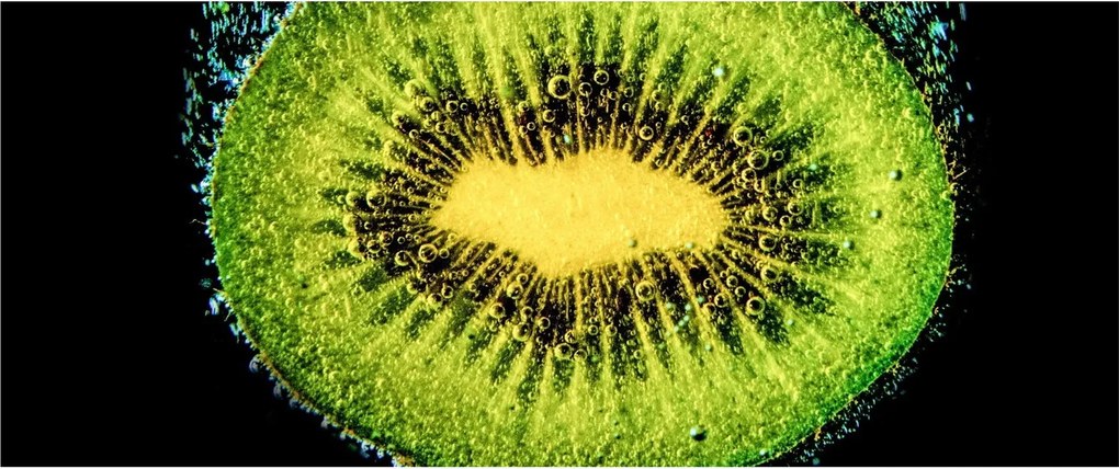 Tablou - detailu cu kiwi în apă (120x50 cm)