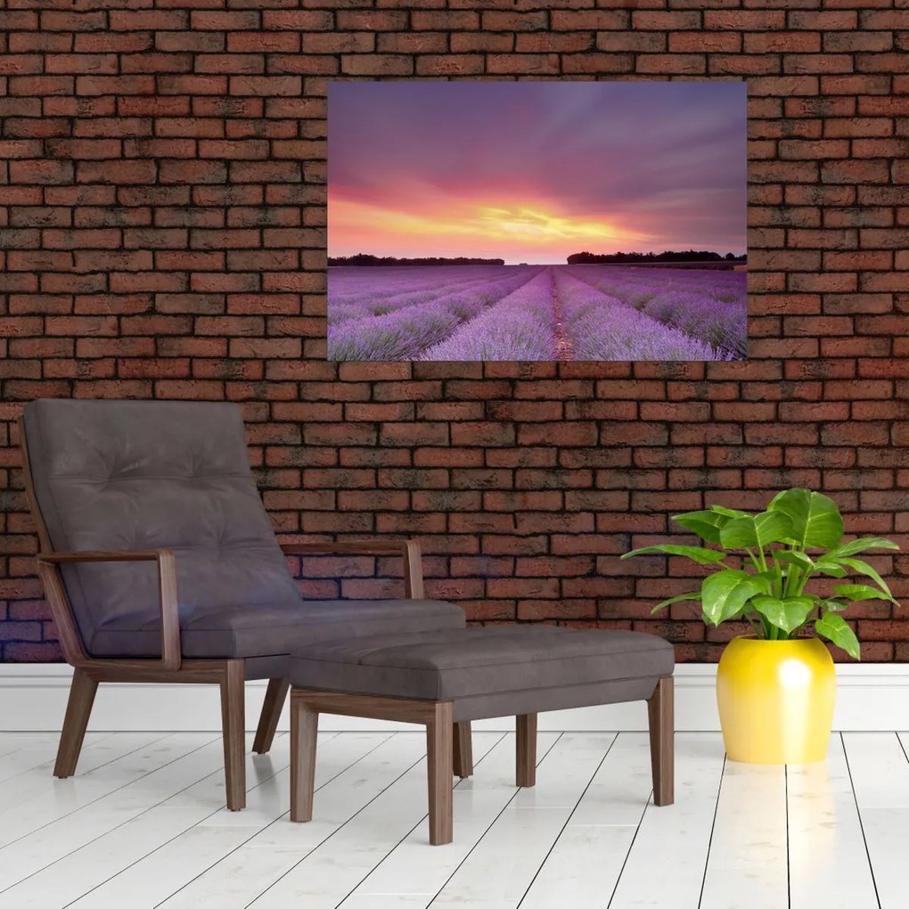 Tablou - Câmp de lavandă (90x60 cm)