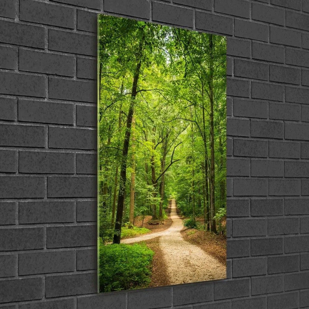 Fotografie imprimată pe sticlă Calea în pădure