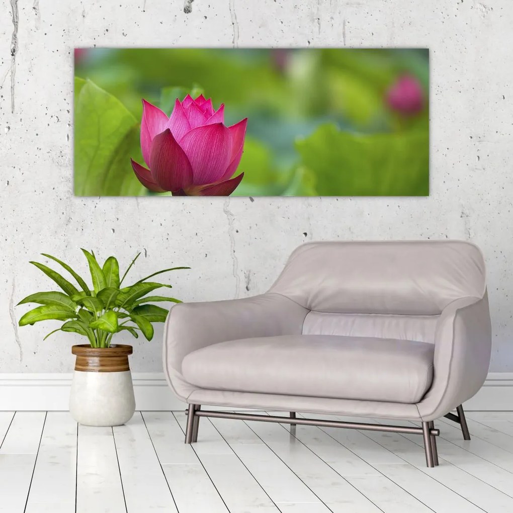 Tablou - floare de apă (120x50 cm)