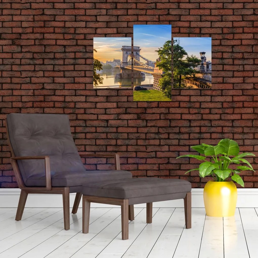Tablou - Pod peste râu, Budapesta, Ungaria (90x60 cm)