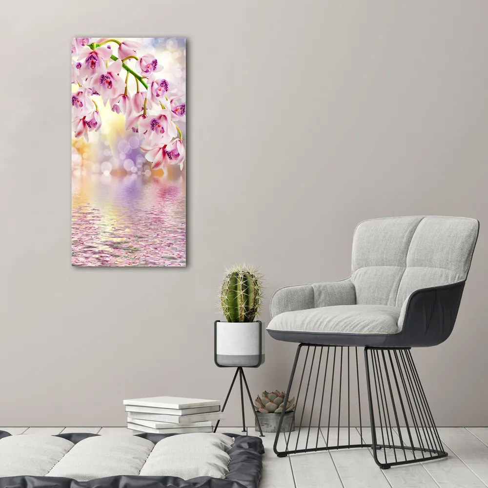 Tablou pe pânză canvas Orhidee