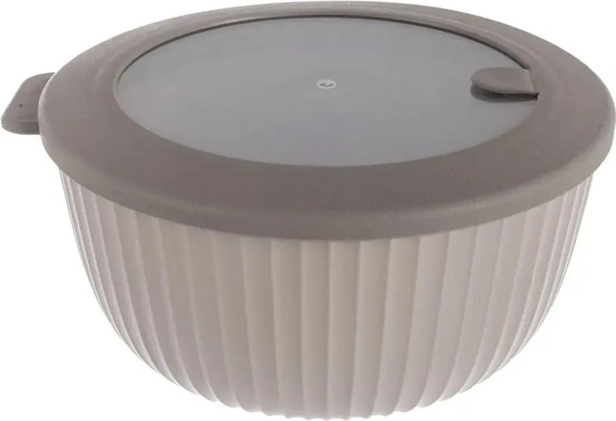 Caserolă pentru alimente – Orion