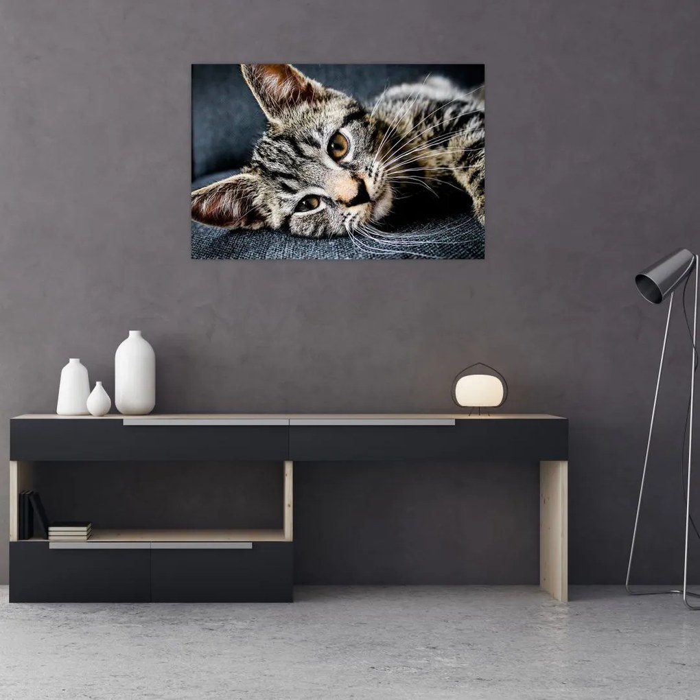 Tablou - Pisoi (90x60 cm)